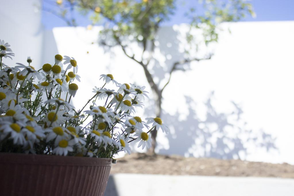 エヴォラ Casa Dos Aromasヴィラ エクステリア 写真
